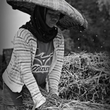 Demi Sepiring Nasi by NITA KURNIA PURADIREDJA